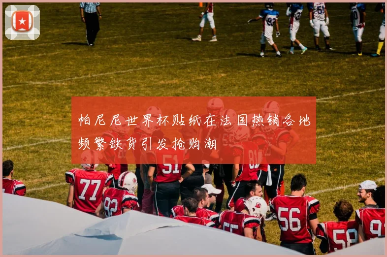 帕尼尼世界杯贴纸在法国热销各地频繁缺货引发抢购潮