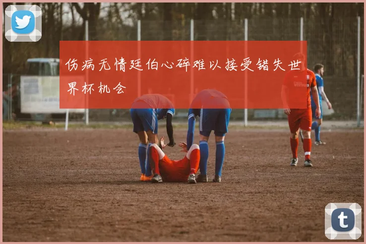 伤病无情廷伯心碎难以接受错失世界杯机会