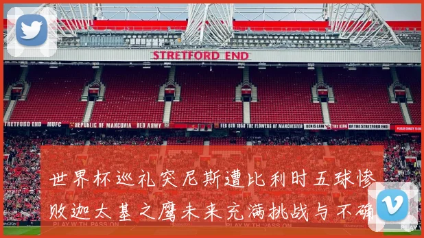 世界杯巡礼突尼斯遭比利时五球惨败迦太基之鹰未来充满挑战与不确定性
